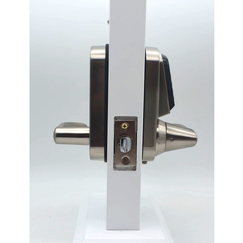 Serratura Digitale per Porta T - Door Handle recensione e prezzo