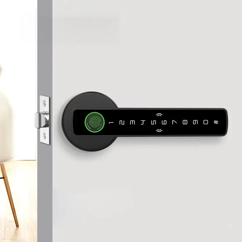 Maniglia Elettronica per Porta - Door Handle recensione e prezzo