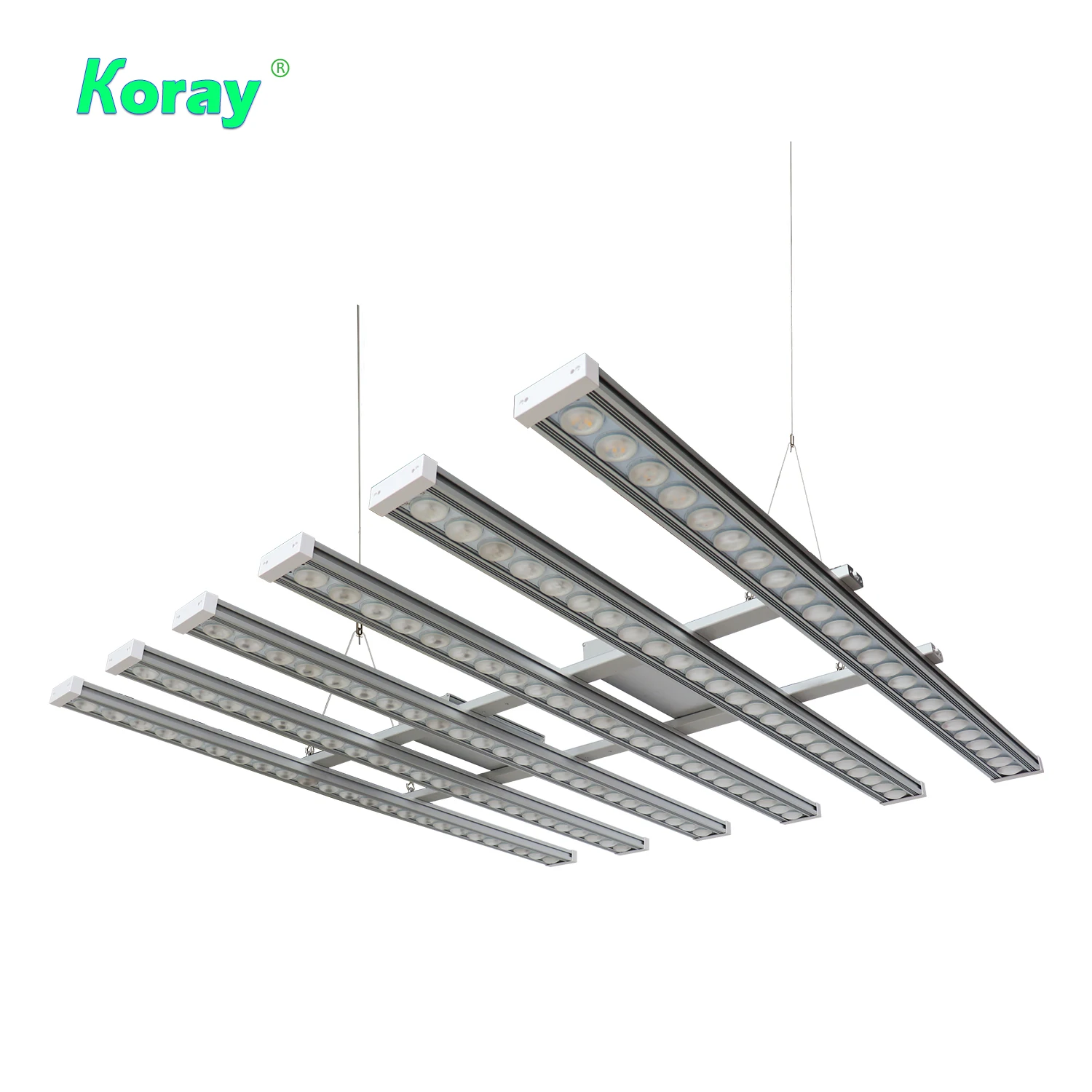 Luce LED per Piante Koray 900W - Led Strip Lights recensione e prezzo