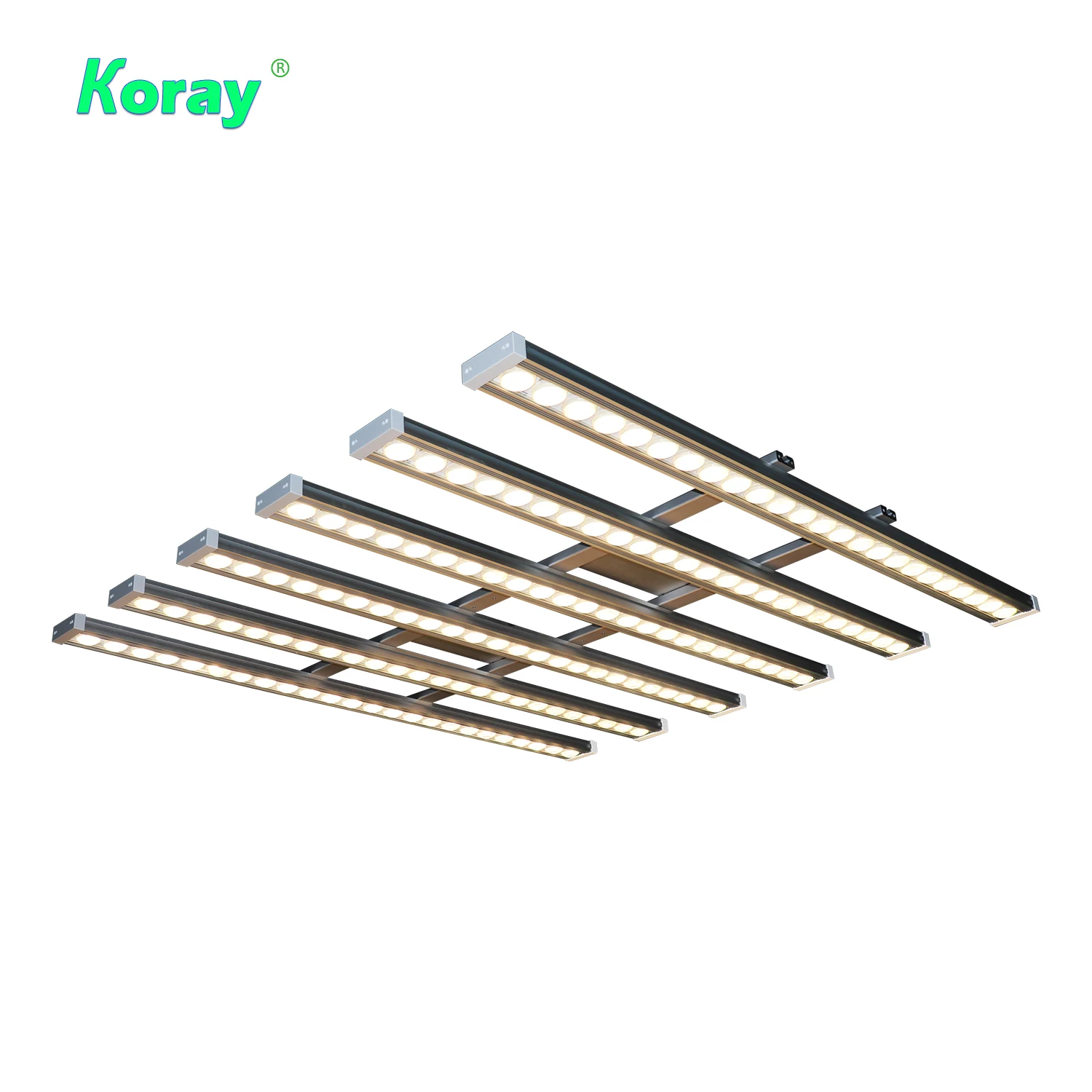 Luce LED per Piante Koray 900W - Led Strip Lights recensione e prezzo
