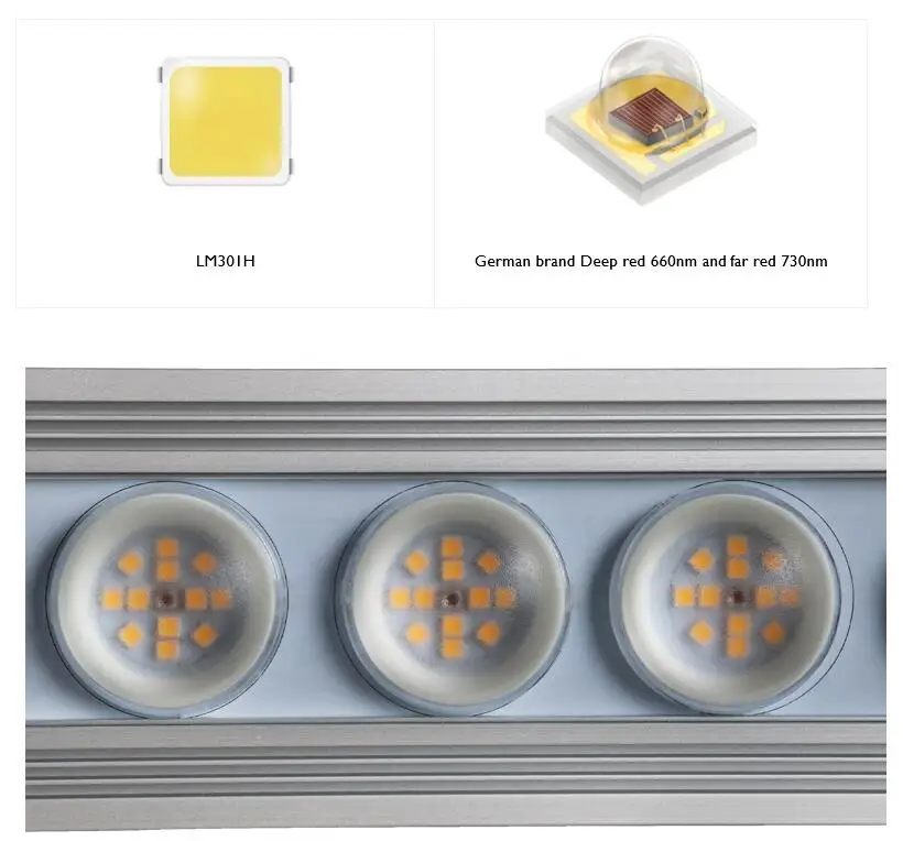 Luce LED per Piante Koray 900W - Led Strip Lights recensione e prezzo